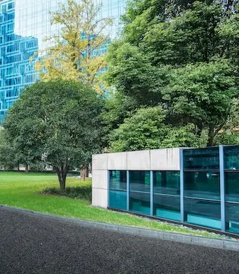 Paque Con Edificios